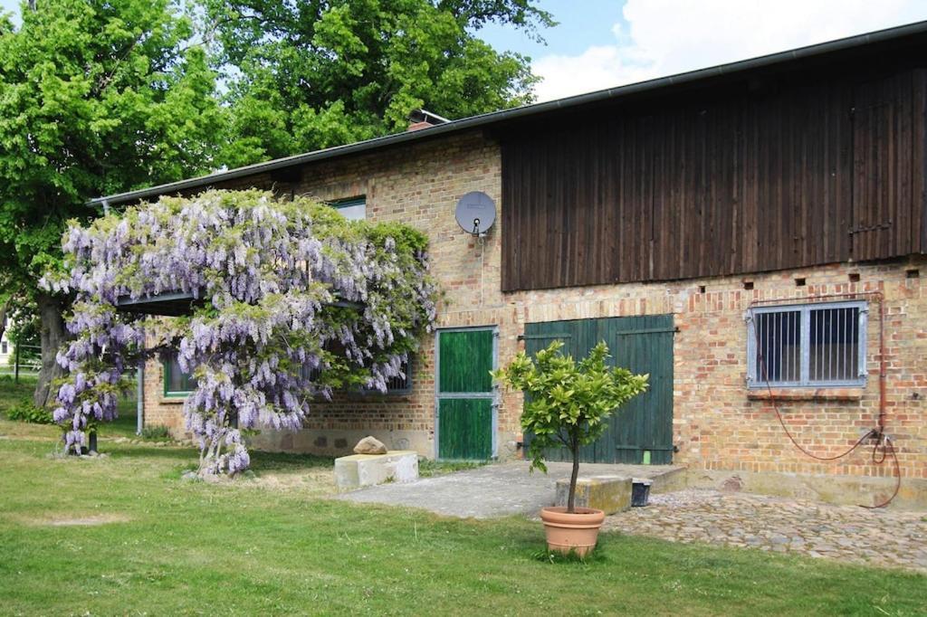 Vacation Home, Zahrensdorf מראה חיצוני תמונה