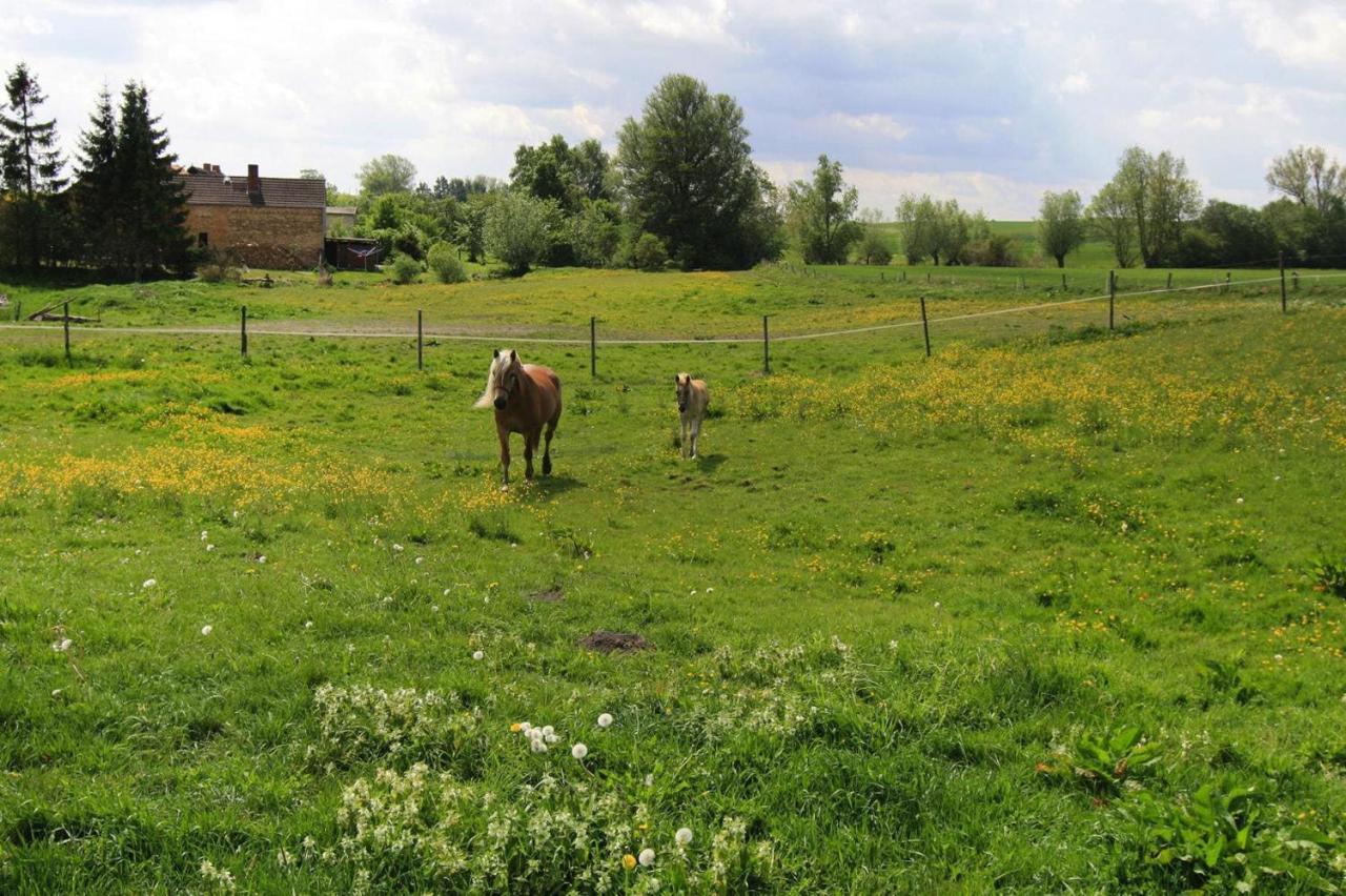 Vacation Home, Zahrensdorf מראה חיצוני תמונה